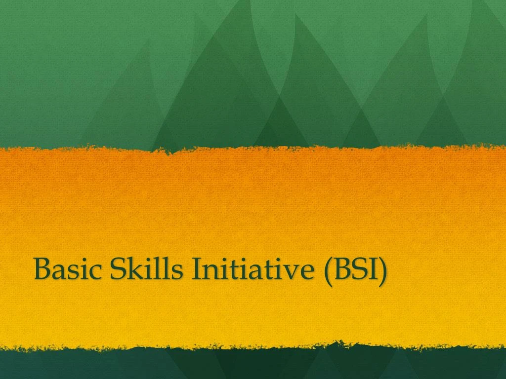 basic skills initiative bsi