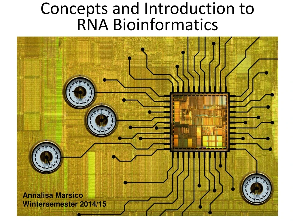 concepts and introduction to rna bioinformatics