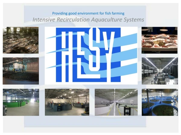 Providing good environment for fish farming Intensive Recirculation Aquaculture Systems