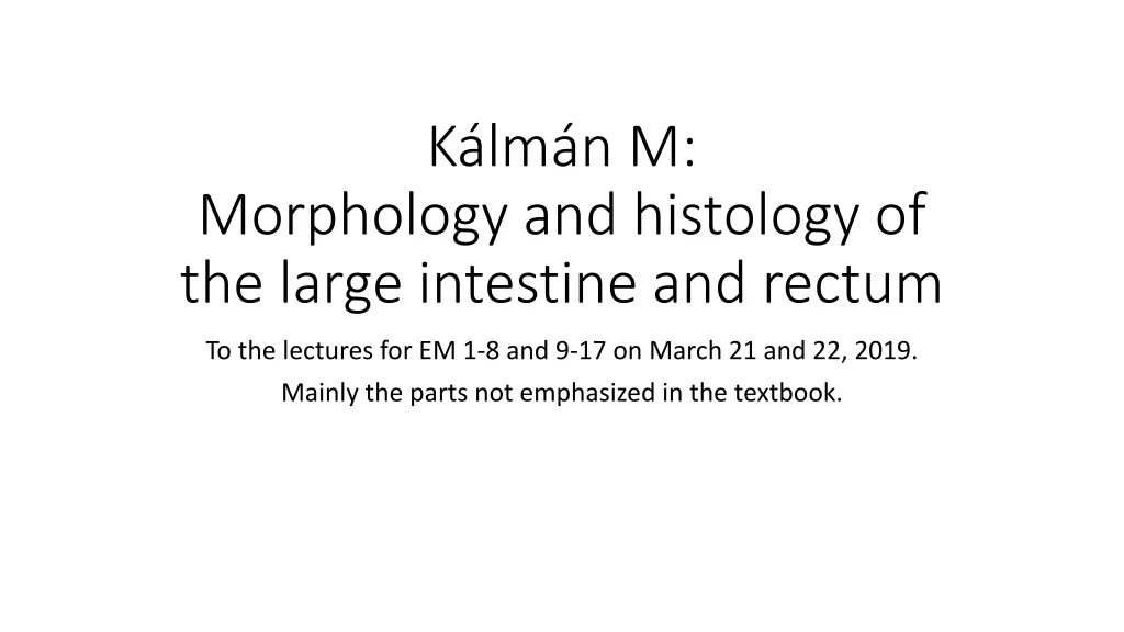k lm n m morphology and histology of the large intestine and rectum