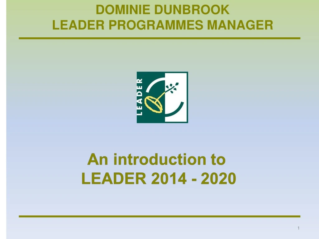 dominie dunbrook leader programmes manager