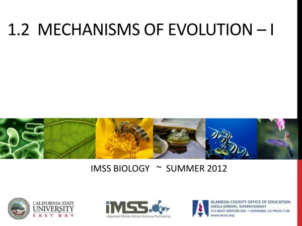 1.2 Mechanisms of evolution – I