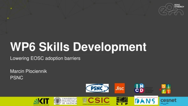WP6 Skills Development