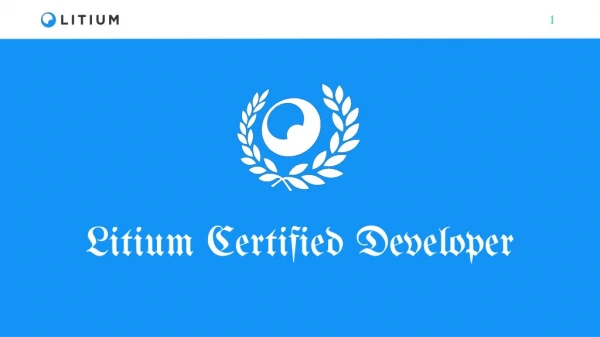 Litium Certified Developer