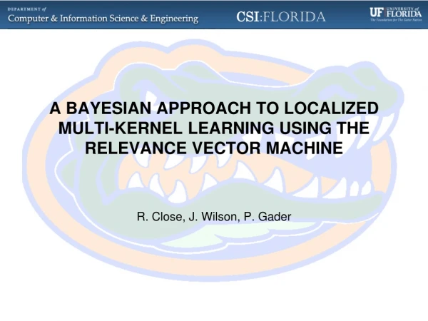A Bayesian Approach to Localized Multi-Kernel Learning Using the Relevance Vector Machine