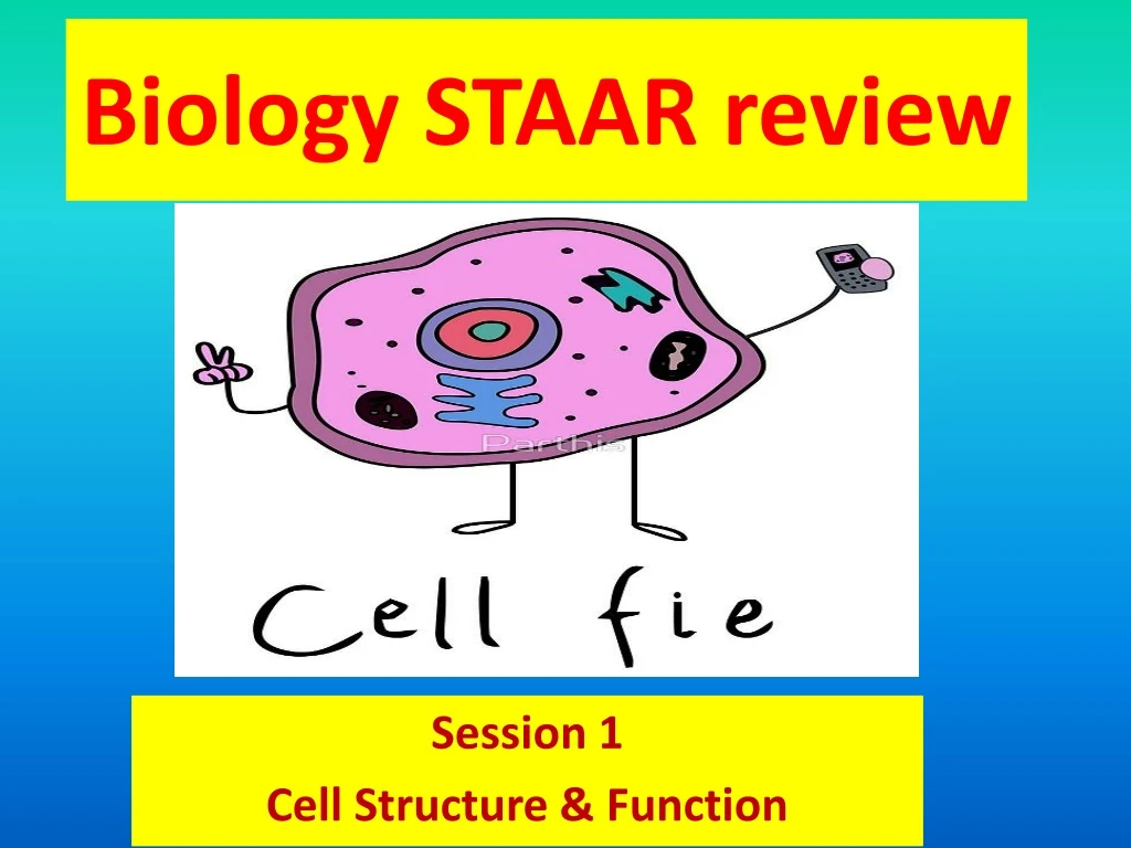 PPT Biology STAAR review PowerPoint Presentation, free download ID