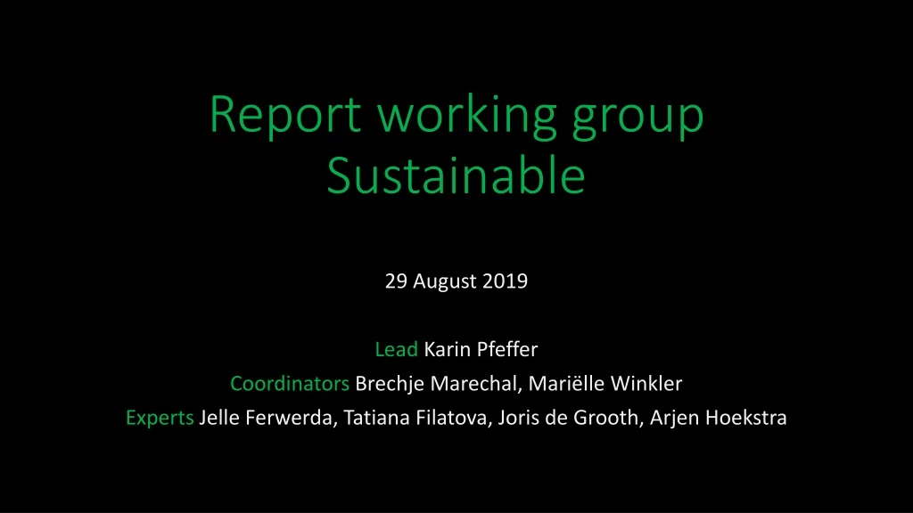 report working group sustainable