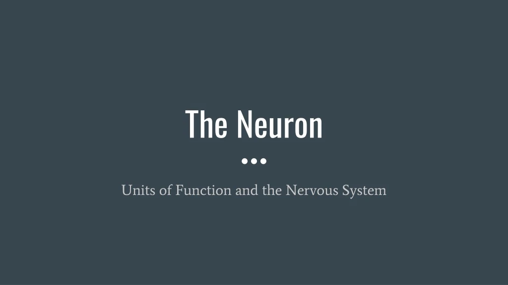 the neuron