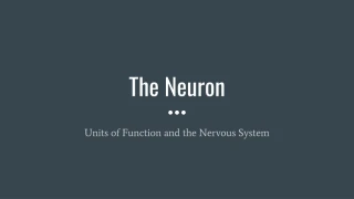 Neurons and Neurotransmitters in the Nervous System - slide 1