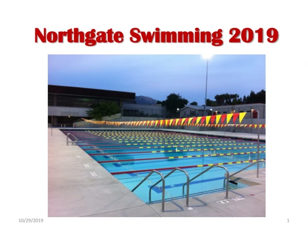 Northgate Swimming 2019