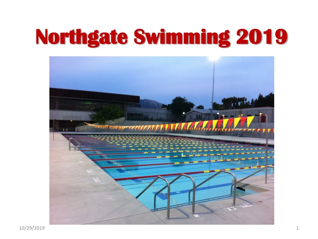 northgate swimming 2019