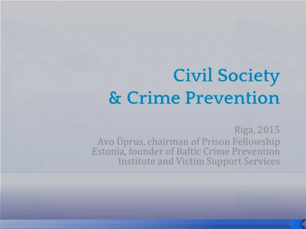 Civil Society &amp; Crime Prevention