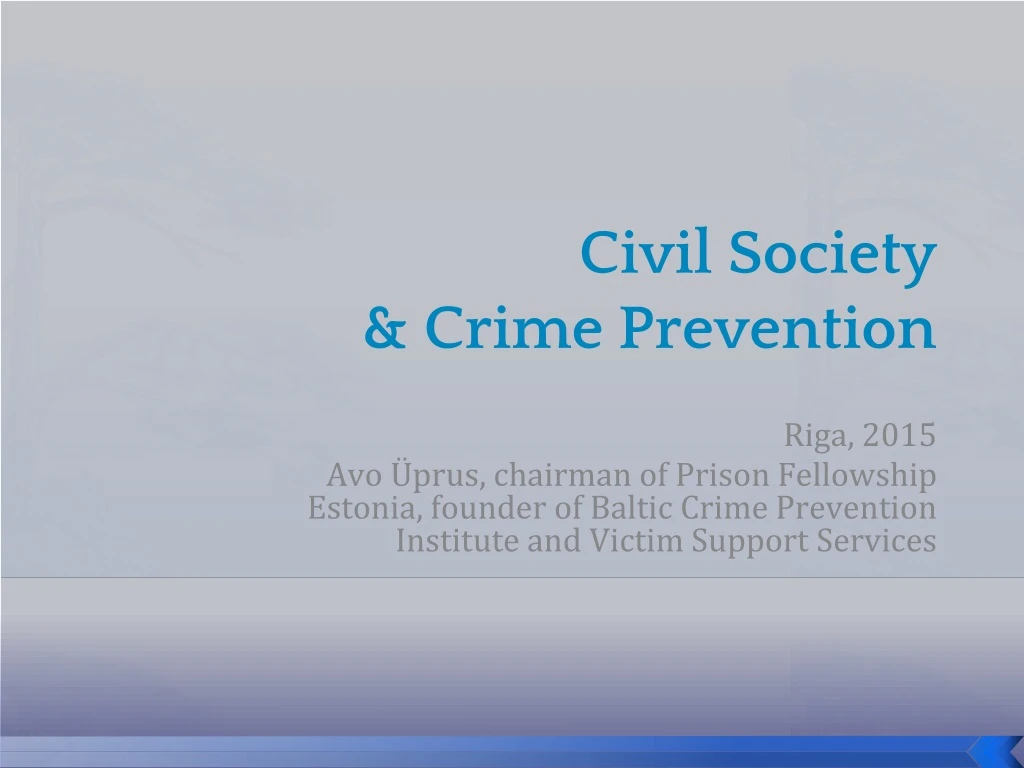 civil society crime prevention