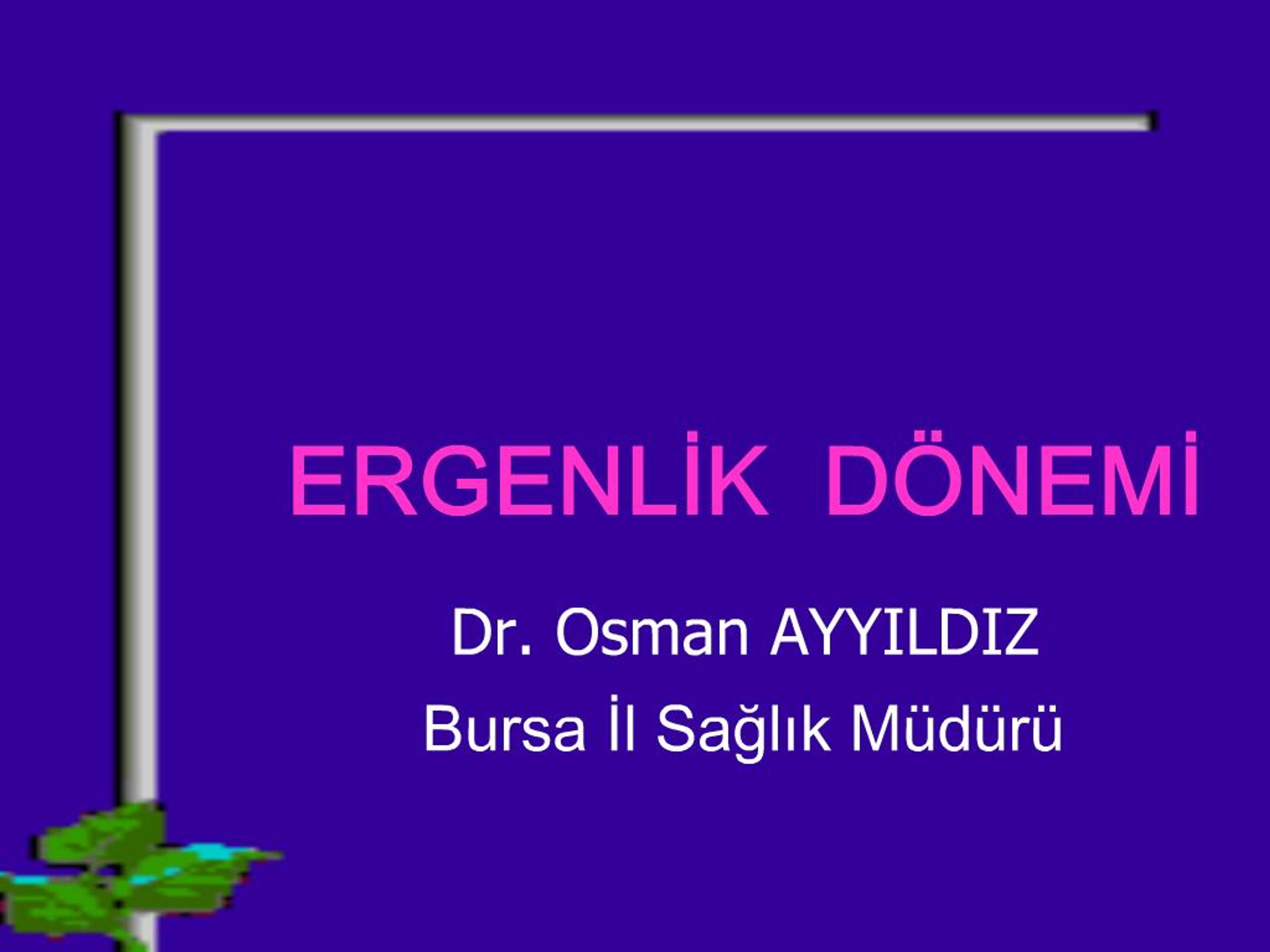 PPT - ERGENLIK D NEMI PowerPoint Presentation, free download - ID:881524