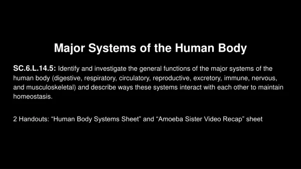 Major Systems of the Human Body