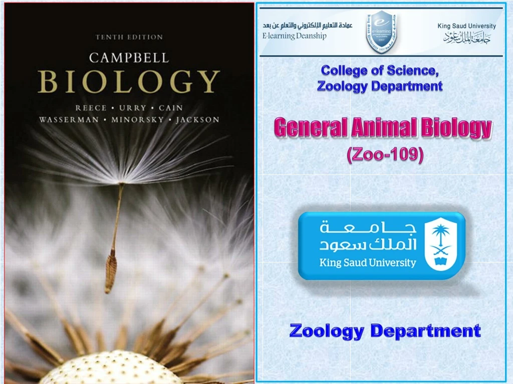 general animal biology