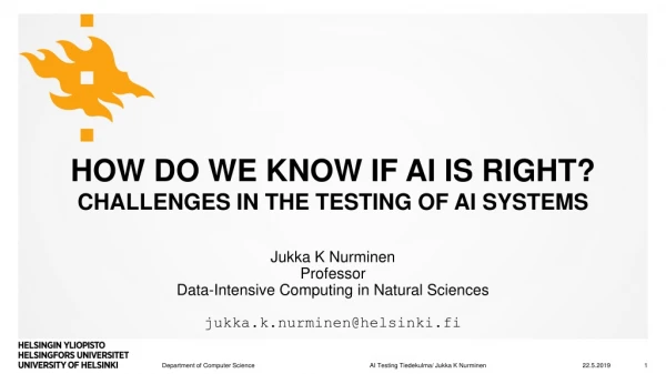 How do we know if AI is right? Challenges in the testing of AI systems