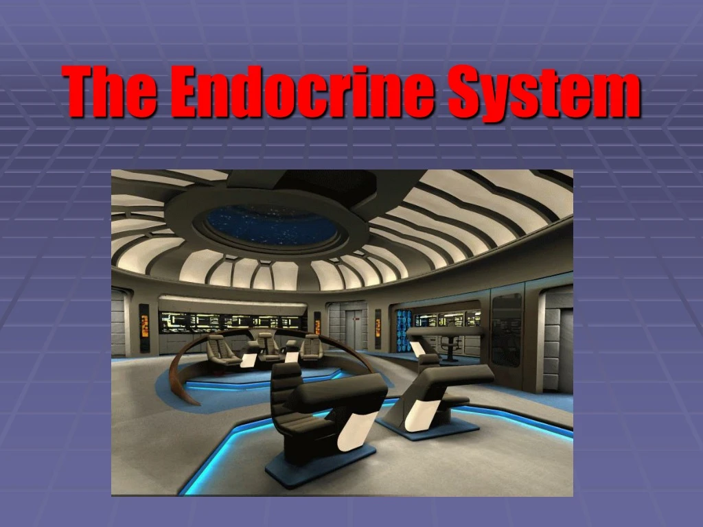 the endocrine system