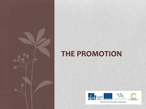 THE PROMOTION