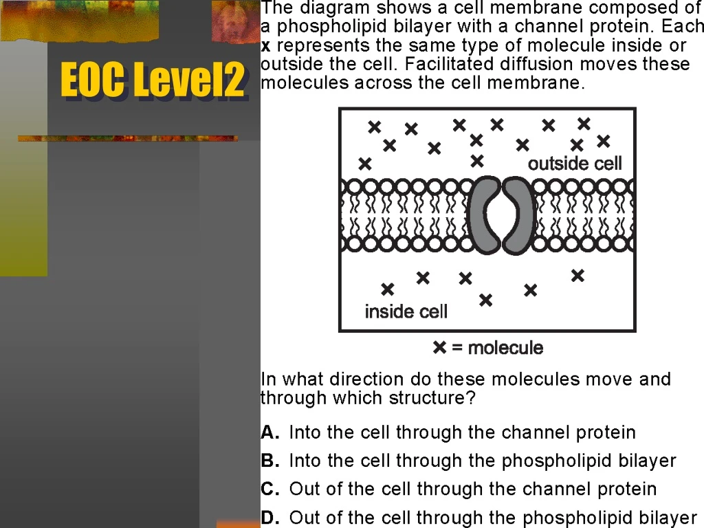 eoc level2