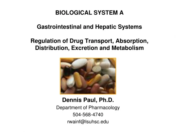 Dennis Paul, Ph.D. Department of Pharmacology 504-568-4740 rwainf@lsuhsc