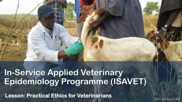 In-Service Applied Veterinary Epidemiology Programme (ISAVET)