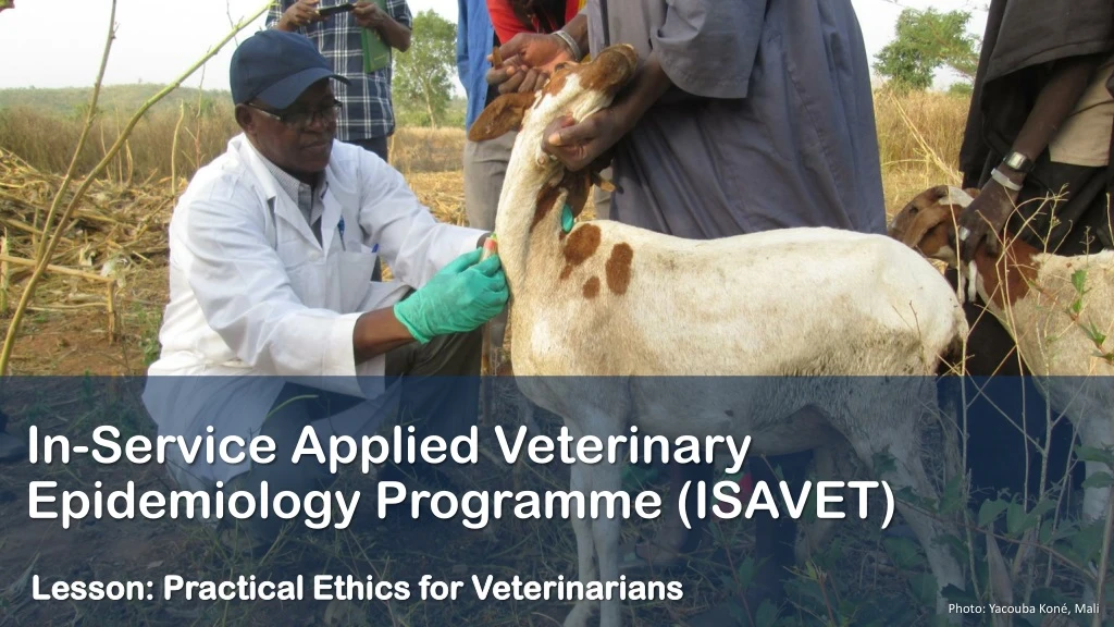 lesson practical ethics for veterinarians