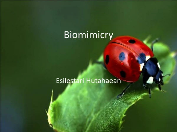 Biomimicry