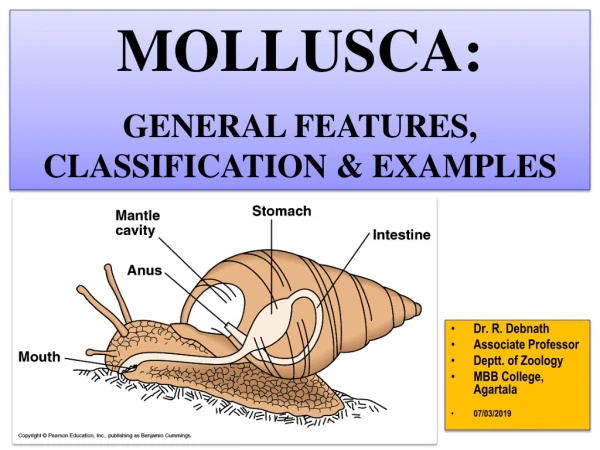 MOLLUSCA: GENERAL FEATURES, CLASSIFICATION &amp; EXAMPLES