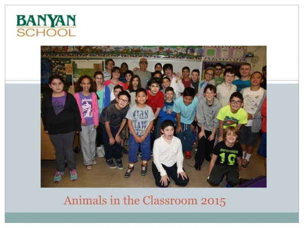 Animals in the Classroom 2015