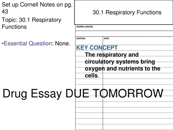 Set up Cornell Notes on pg. 43 Topic: 30.1 Respiratory Functions Essential Question : None.