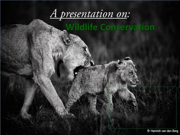 A presentation on : Wildlife Conservation