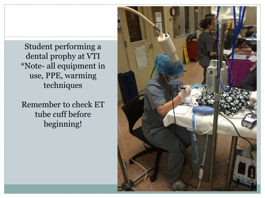 student performing a dental prophy at vti note
