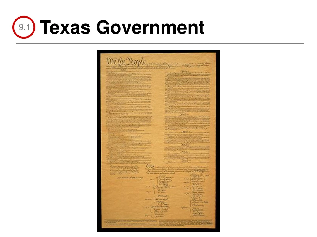 texas government