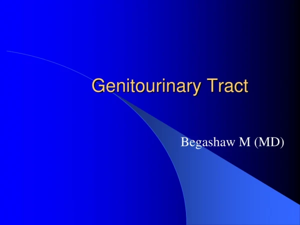 Genitourinary Tract