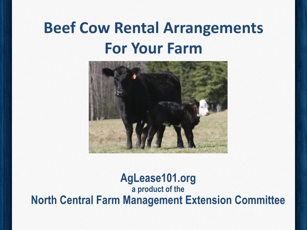 beef cow rental arrangements for your farm