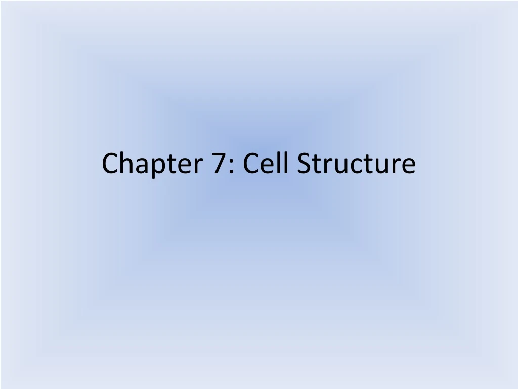 chapter 7 cell structure