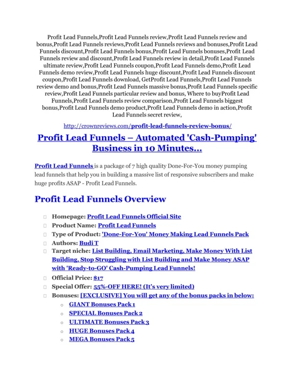 What is Profit Lead Funnels?