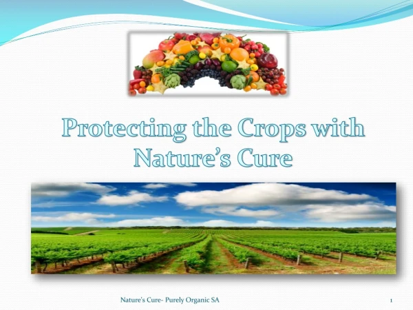 Protecting the Crops with Nature’s Cure