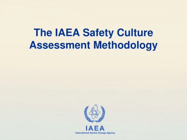 The IAEA Safety Culture Assessment Methodology