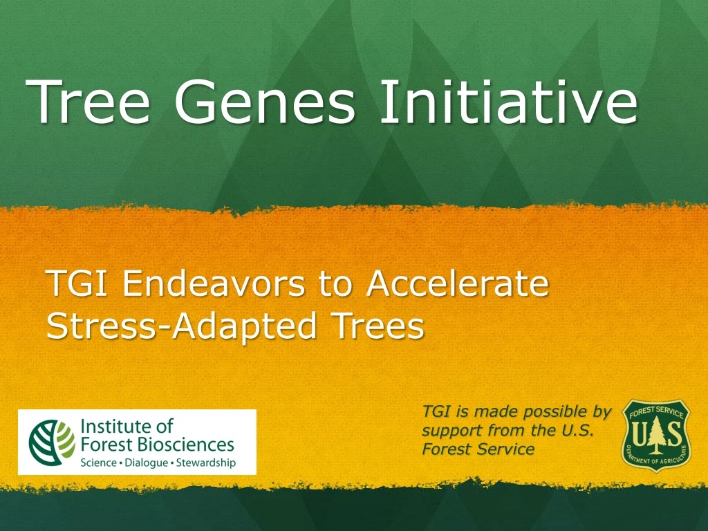 tgi endeavors to accelerate stress adapted trees