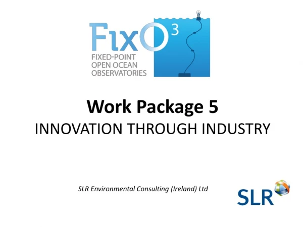 Work Package 5 INNOVATION THROUGH INDUSTRY