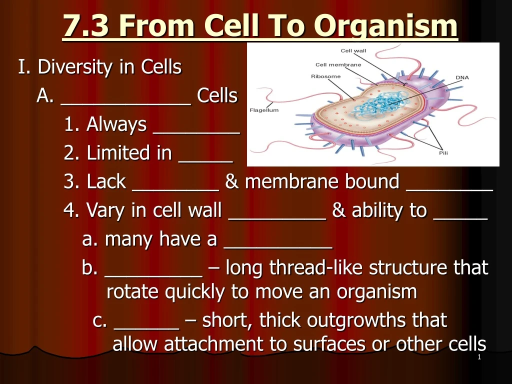 7 3 from cell to organism