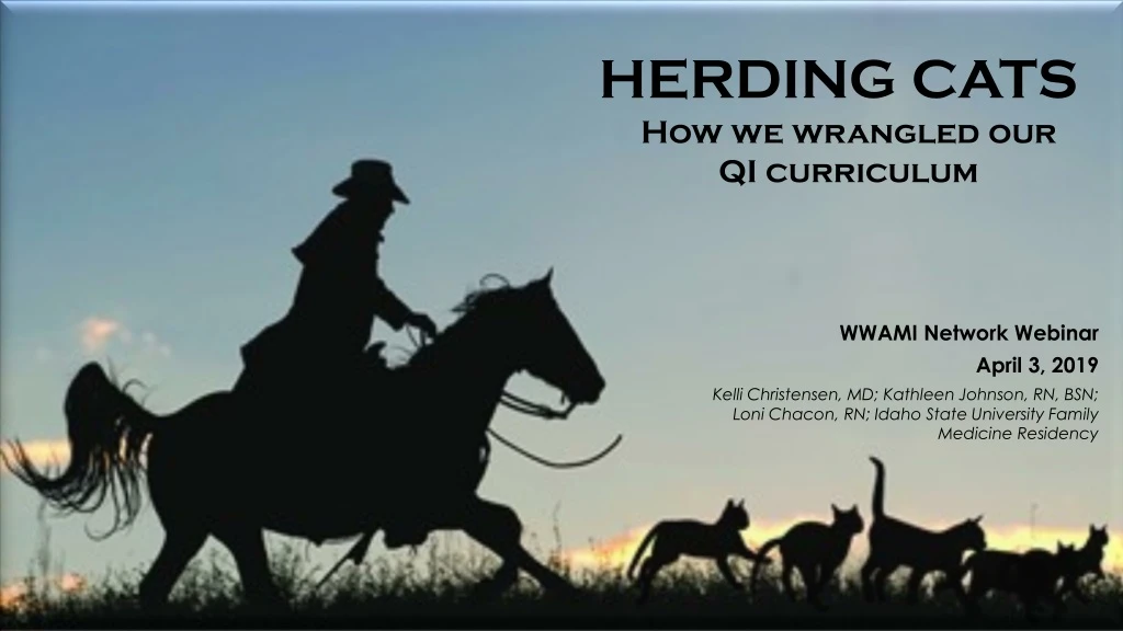 herding cats how we wrangled our qi curriculum