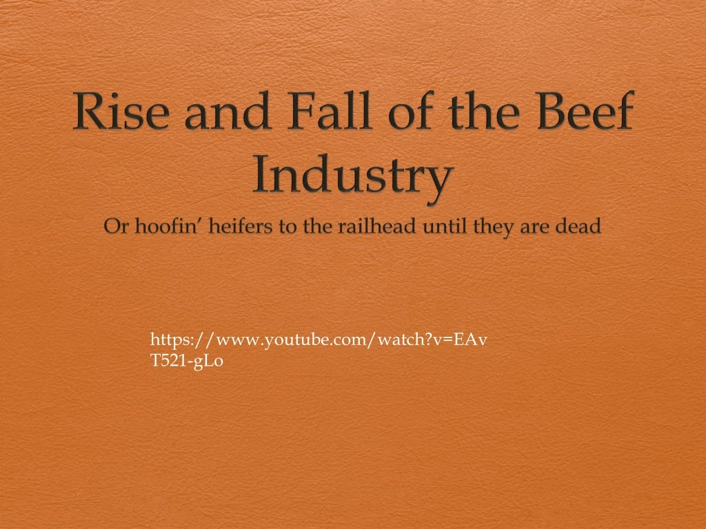rise and fall of the beef industry