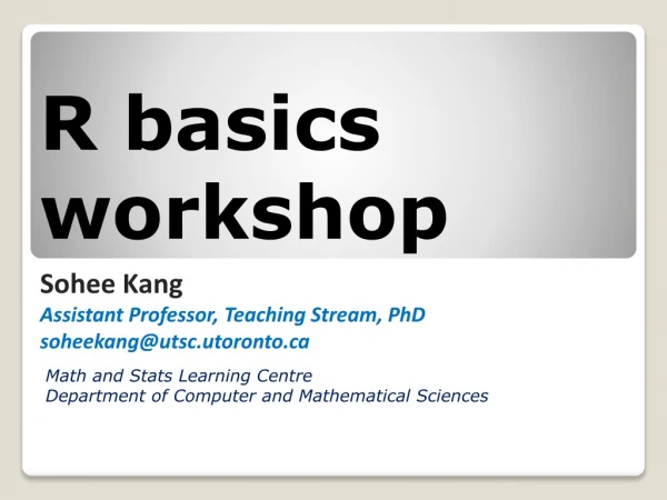 R basics workshop
