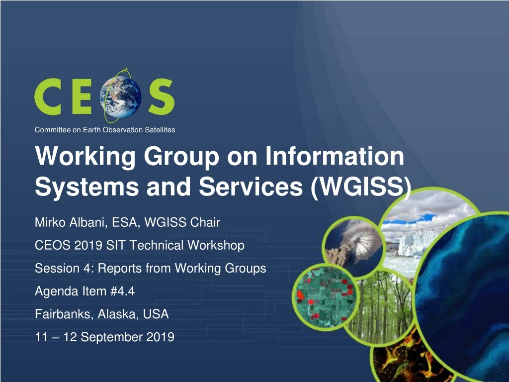 working group on information systems and services wgiss