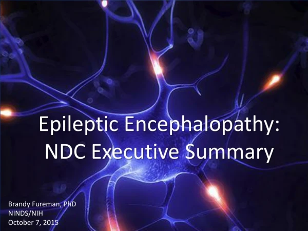Epileptic Encephalopathy: NDC Executive Summary