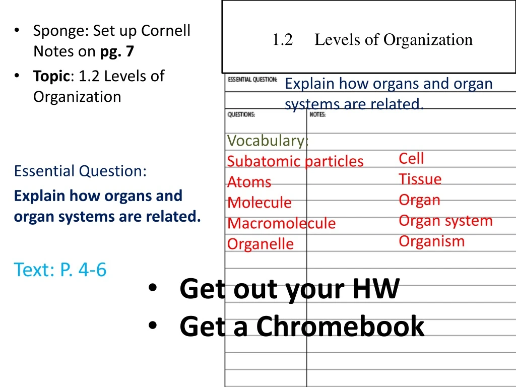 1 2 levels of organization