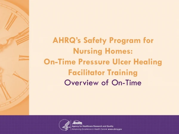 AHRQ’s Safety Program for Nursing Homes: On-Time Pressure Ulcer Healing Facilitator Training